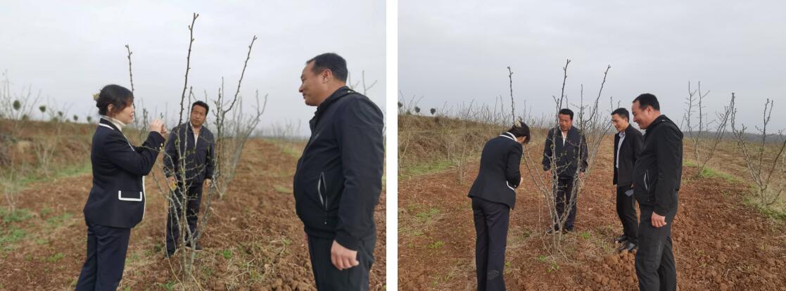 201650443734224326.jpeg 201650443734224326.jpeg